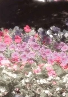 現実逃避していいですか