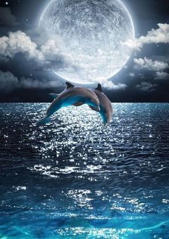 もう一度あのコートへ