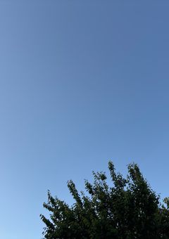 ギャル系男子の雑談部屋