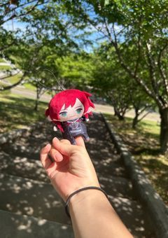 リクエストの実写