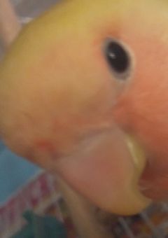 実写部屋〜令和女の狂気編〜