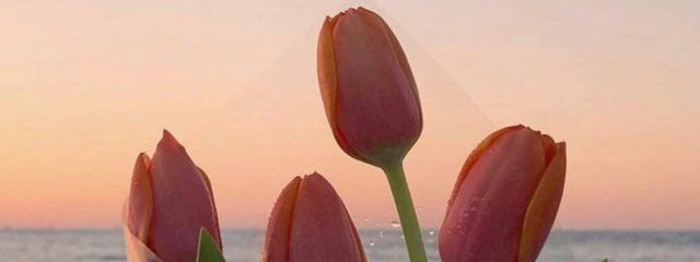 優爾 さんの壁紙画像