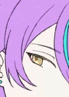 司類