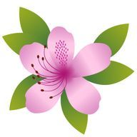 花の子@復帰検討中さんのアイコン画像