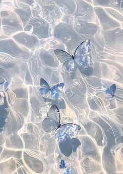 ︎ ︎ ︎ ︎ ︎おやすみコンテスト（応募締切済）