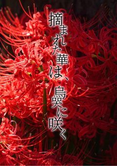 摘まれた華は、烏哭に咲く