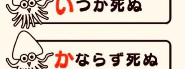 猫月 .☽ ໋꙳ さんの壁紙画像