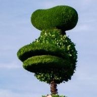 ＃年中無休の社畜.さんのアイコン画像