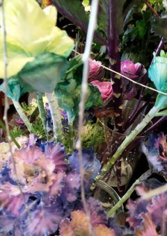 ハッピーエンドを求めてる