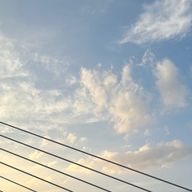 🍮さんのアイコン画像