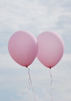 しろくまとくろねこ