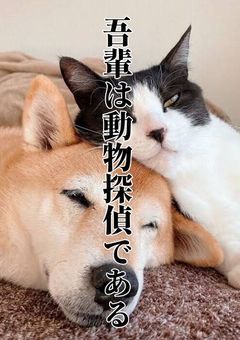 吾輩は動物探偵である。