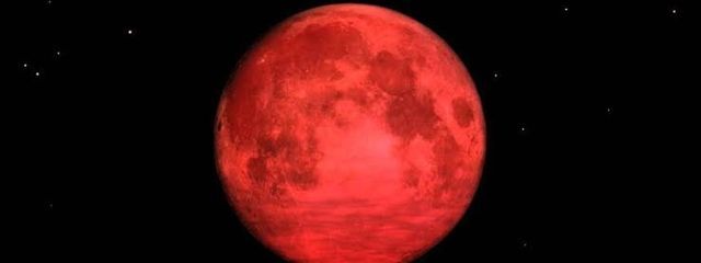 STARFISHさんの壁紙画像