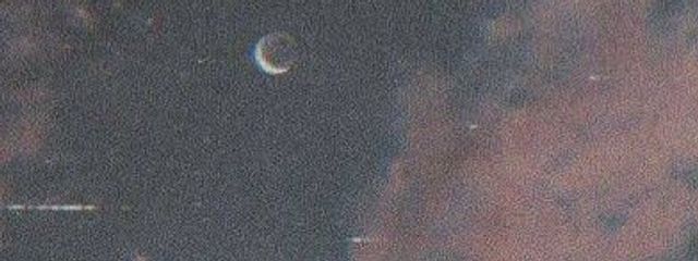 鮭さんさんの壁紙画像