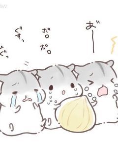 変な人の変な日記🫧🐾