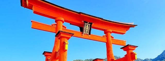 🍙コンビニの鮭おにぎり😶^^さんの壁紙画像