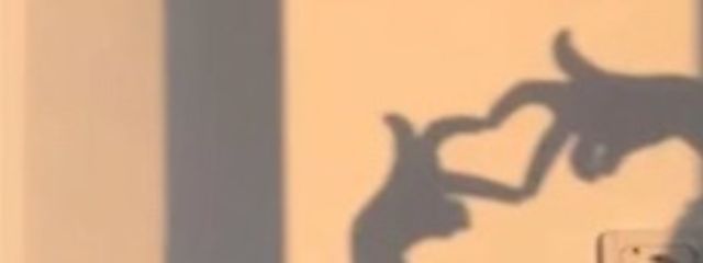 # ๐๐๐๐ .ใใใฎๅฃ็ด็ปๅ