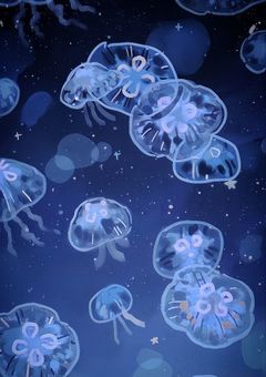 　uplt - 煽り煽られ . 恋をして　