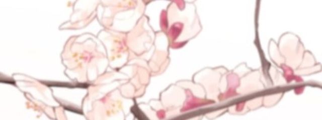 晩:ban☁️×🖤さんの壁紙画像