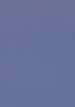 SEVENTEENの紅一点