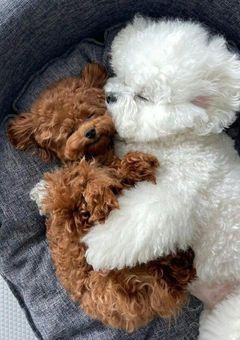 ME:I短編集〜気まぐれ〜