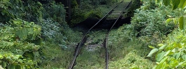 斑ノ母さんの壁紙画像