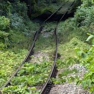 斑ノ母さんのアイコン画像