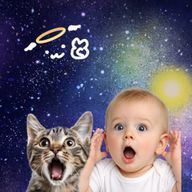 Raia@世界中ぬこ＆エケチェン化計画中さんのアイコン画像