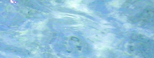 梨奈子さんの壁紙画像