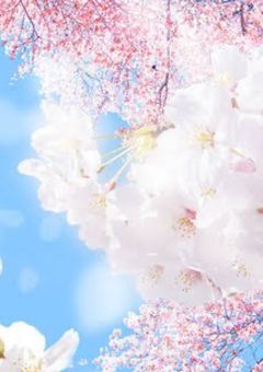 消えてしまいそうで，