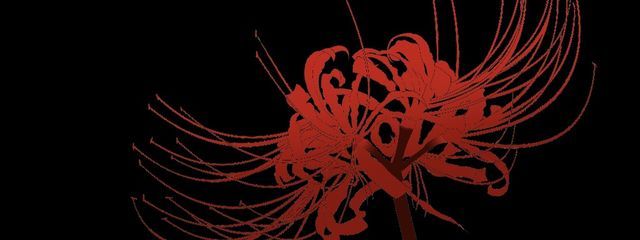 焔さんの壁紙画像