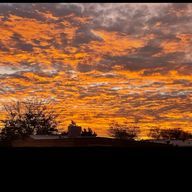 蒼河怜衣さんのアイコン画像