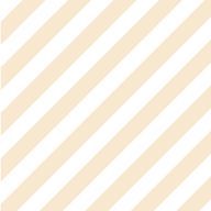 しましまさんのアイコン画像