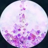 はしもとさんのアイコン画像