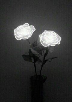 ＃　死んでからやりたいことリスト　：　njsj