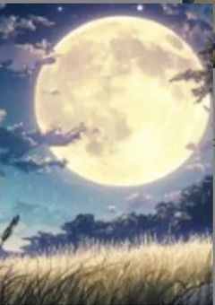 amnvの短編集