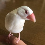 リア❄️🫧さんのアイコン画像