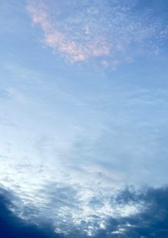 いつか心を開くまで…