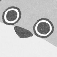 雪さんのアイコン画像