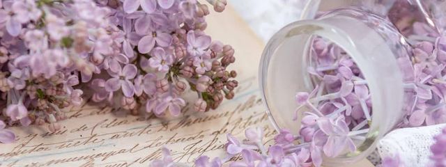 べべ ！！さんの壁紙画像