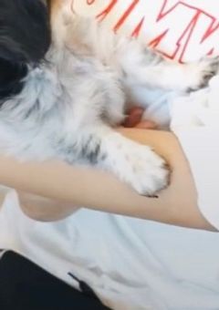 なまえはサチコ