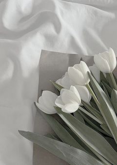 ꒰　𝘤𝘩𝘢𝘵 𝘳𝘰𝘰𝘮 💬　꒱