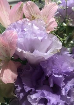 俺は女が好きって言ってんの！！