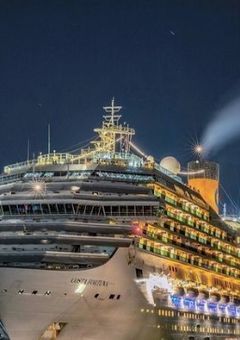 豪華　客船　占拠　。