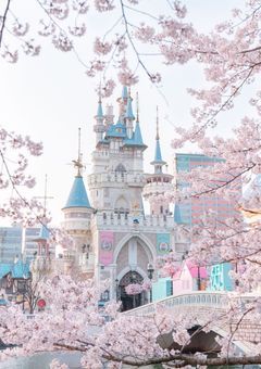 今日、好きになりました。        卒業編