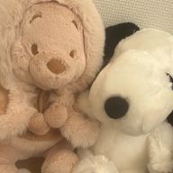 だいずさんのアイコン画像