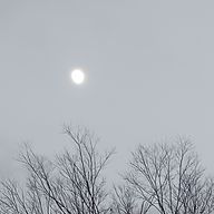 青葉 空さんのアイコン画像