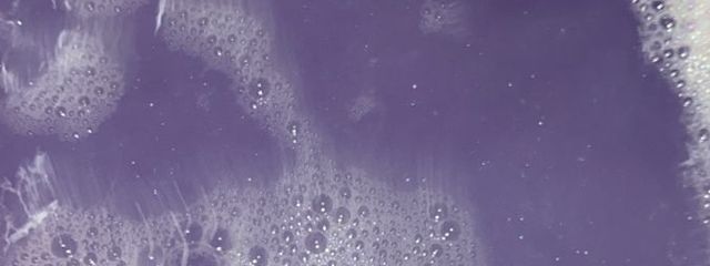 らちゃさんの壁紙画像