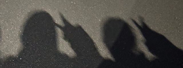ゆきさんの壁紙画像