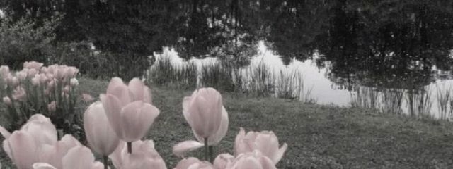 みすてぃ@4月受験生さんの壁紙画像